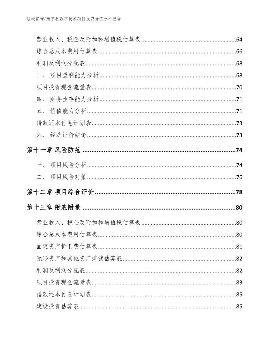 册亨县数字技术项目投资价值分析报告参考范文_第5页