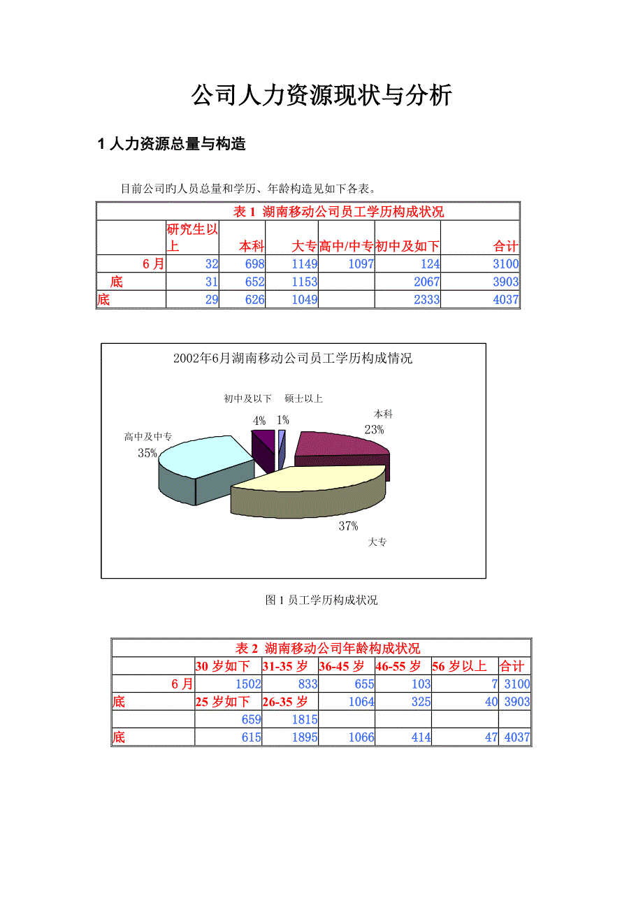 【范例推荐】公司人力资源现状与分析(WORD8).doc_第1页