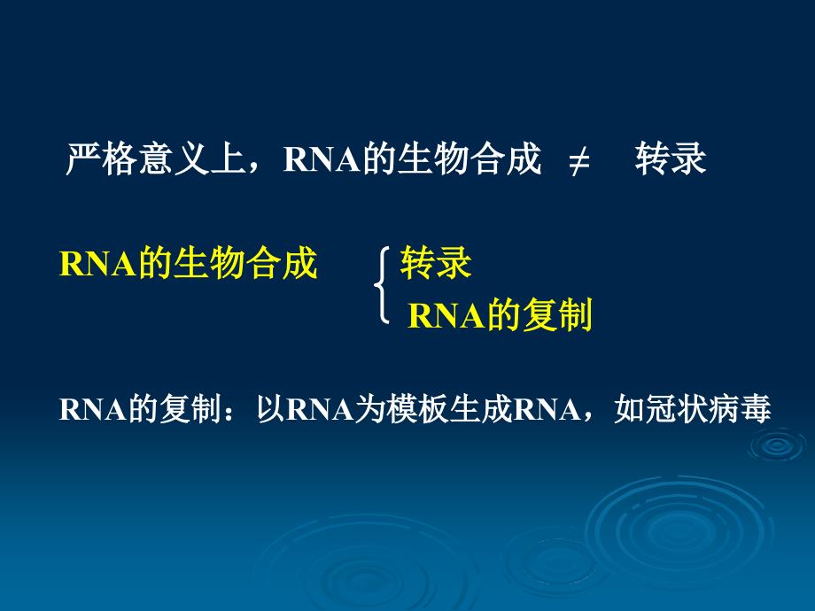 生物化学与分子生物学：RNA的生物合成_第3页