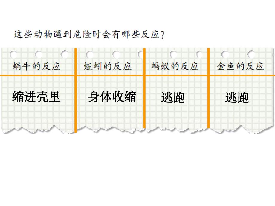 动物的共同特征_第4页