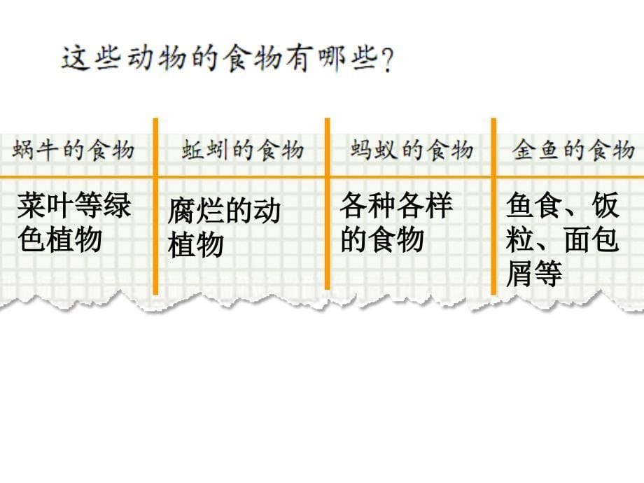 动物的共同特征_第5页