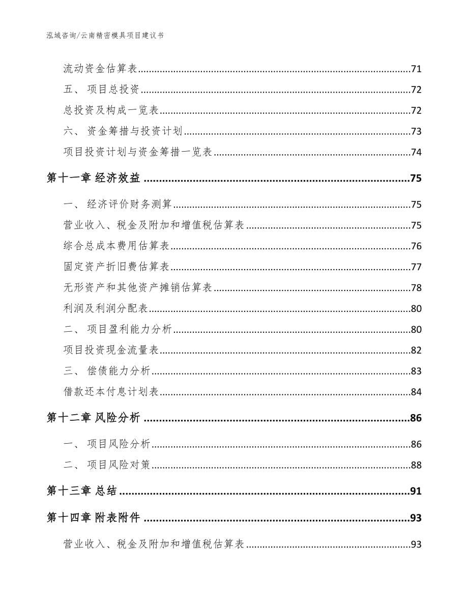 云南精密模具项目建议书_参考范文_第5页