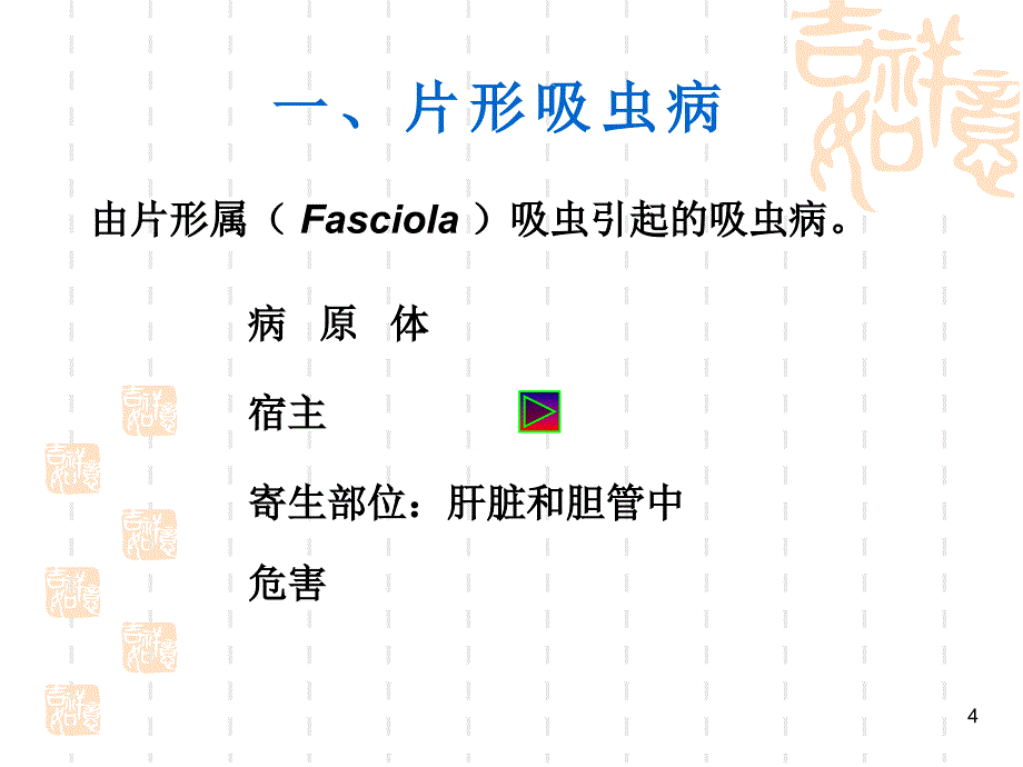 吸虫病片形吸虫_第4页