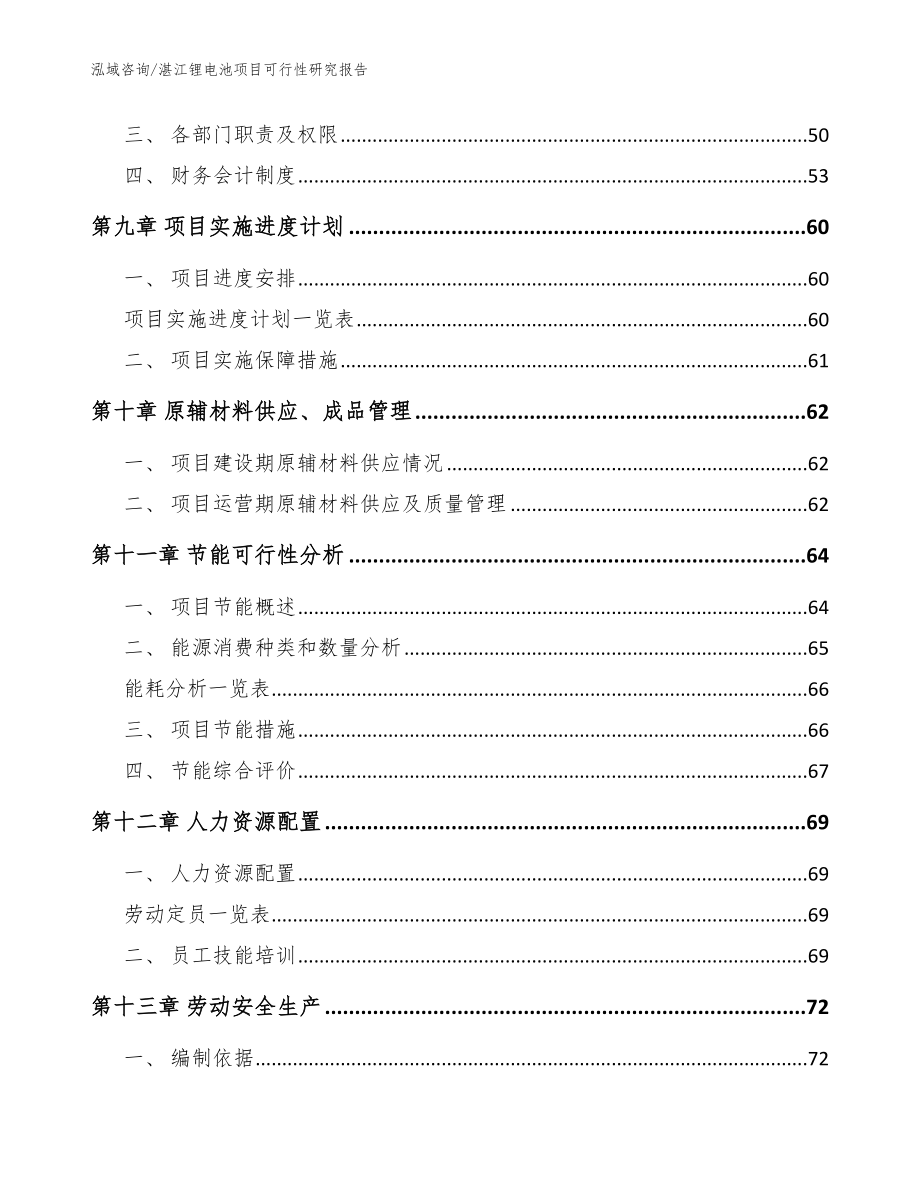 湛江锂电池项目可行性研究报告范文_第3页