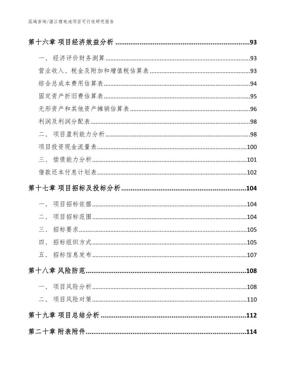 湛江锂电池项目可行性研究报告范文_第5页