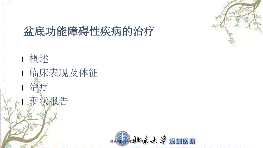 盆底功能障碍性疾病的治疗定_第2页