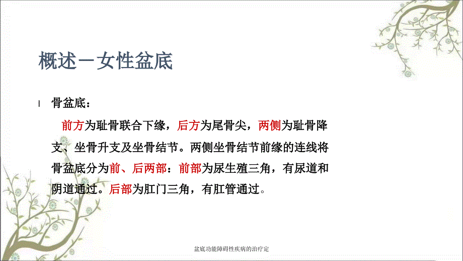 盆底功能障碍性疾病的治疗定_第3页