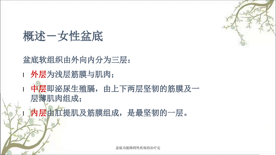 盆底功能障碍性疾病的治疗定_第4页