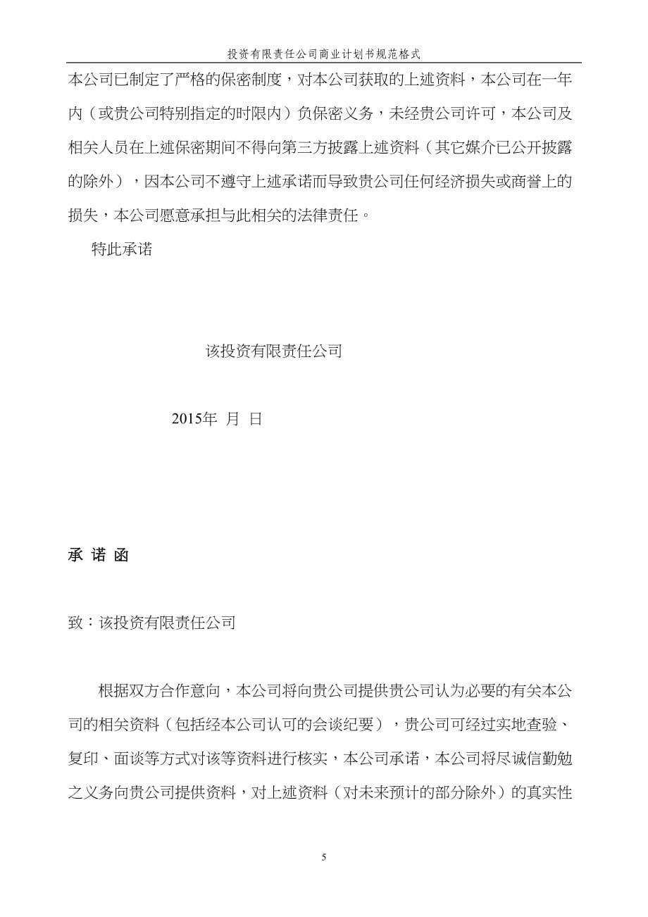 投资公司商业计划书规范格式(DOC39)_第5页