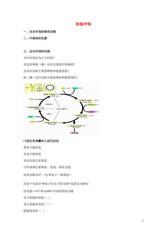 北京市第四中学高考生物专题复习6光合作用二光合作用原理及应用学案0817178