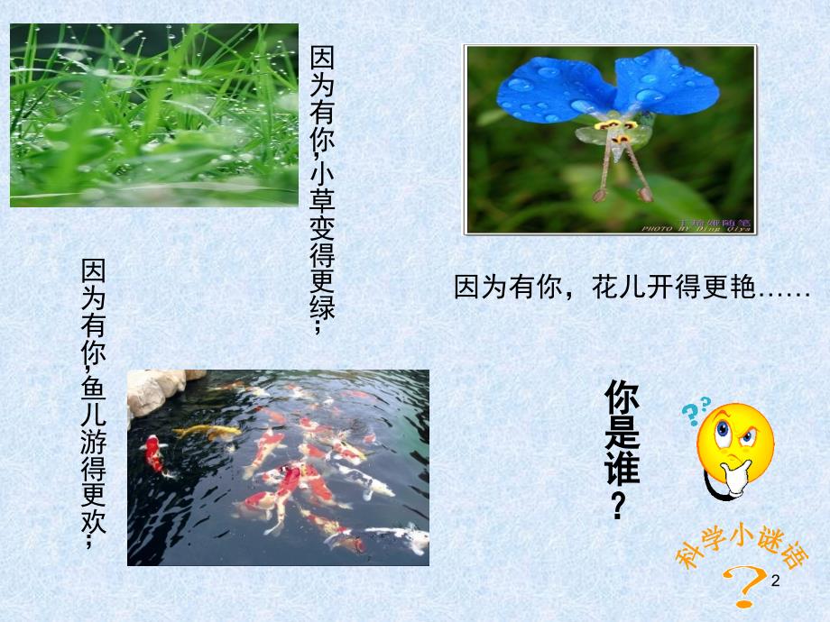 苏教版三年级科学神奇的水课堂PPT_第2页