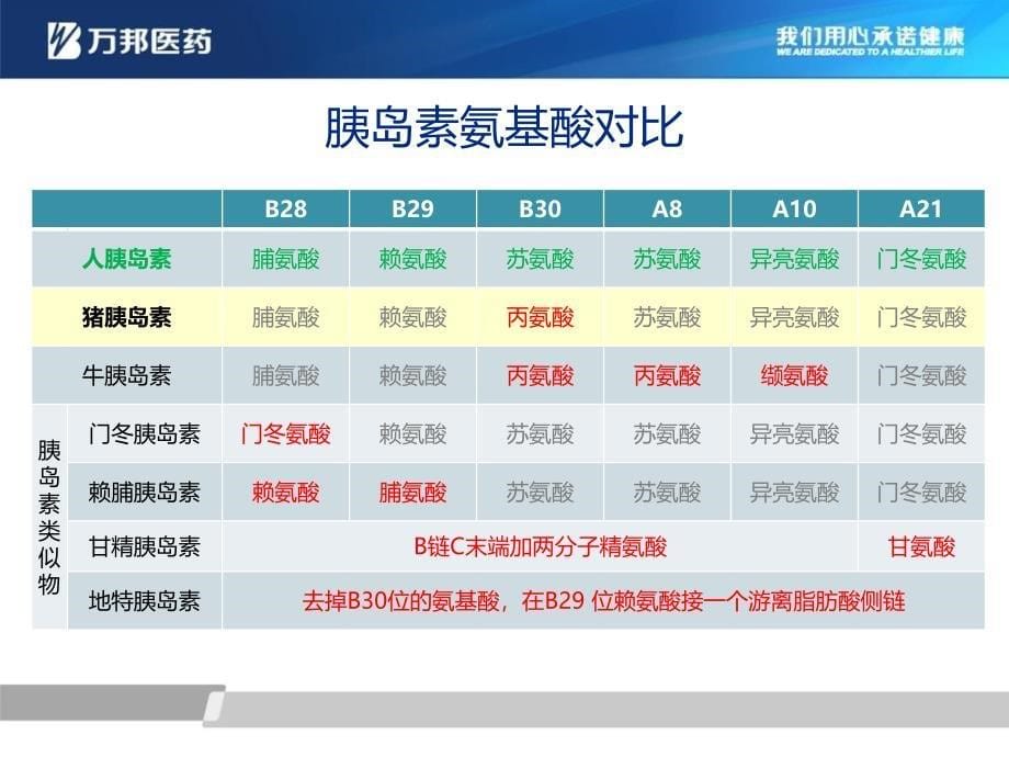 万邦胰岛素注射液ppt课件_第5页