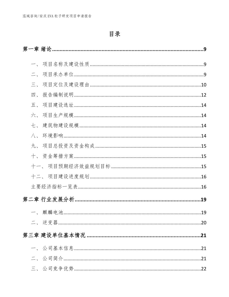 安庆EVA粒子研发项目申请报告【模板参考】_第2页