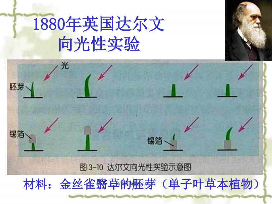 神奇的激素3 (浙教版)_第3页