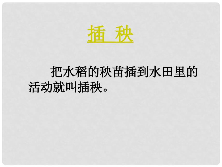 一年级语文下册 第3单元 天《插秧》课件 北师大版_第3页