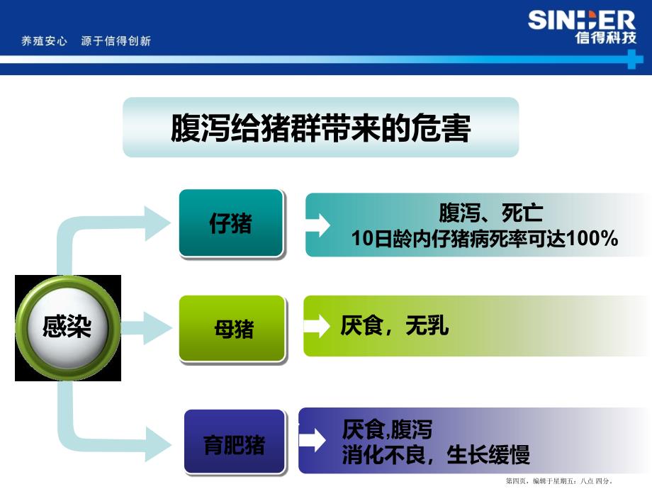 当前猪群病毒性腹泻防控方案_第4页