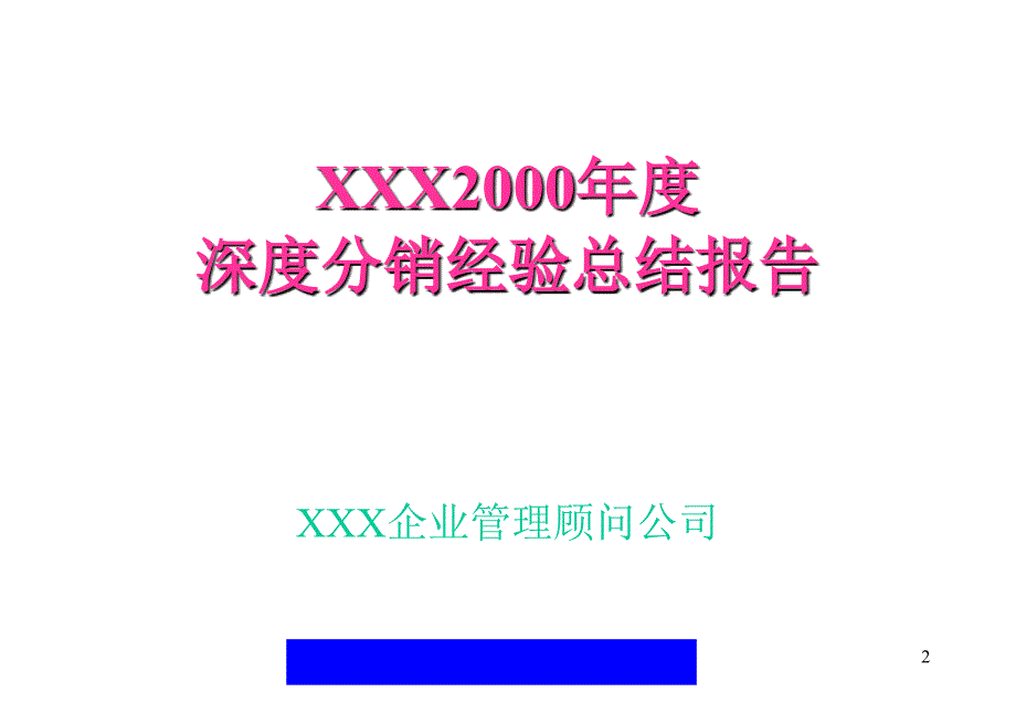 深度分销经验总结报告_第2页