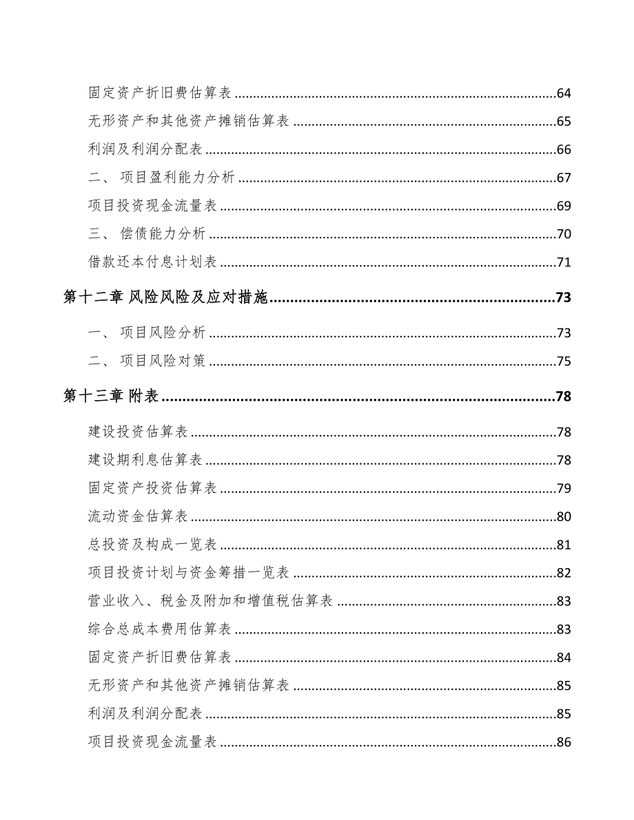 青海鞋材项目可行性研究报告(DOC 62页)_第4页