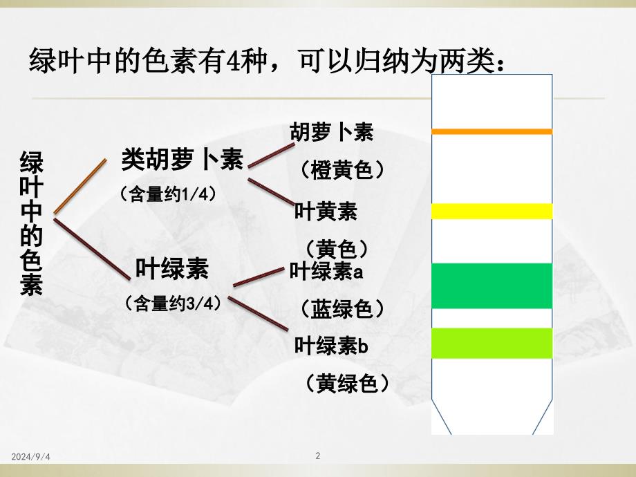 光合作用的探究历程与过程_第2页