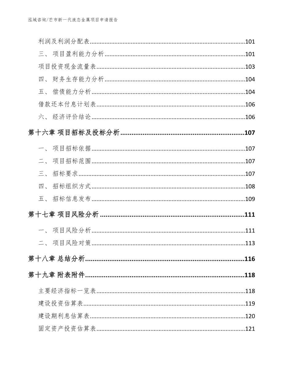 芒市新一代液态金属项目申请报告_第5页