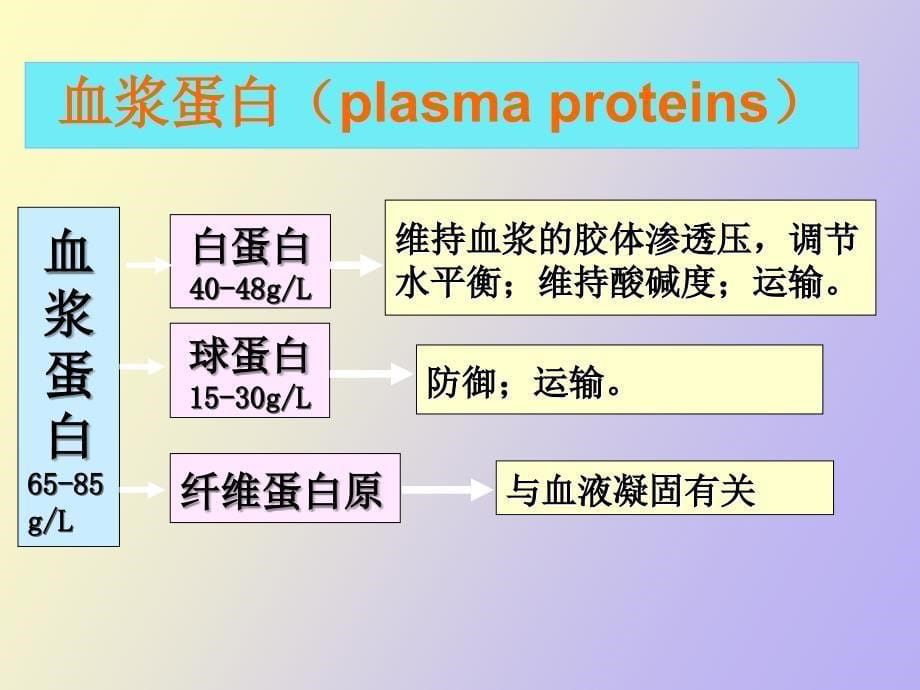 生理学血液生理_第5页