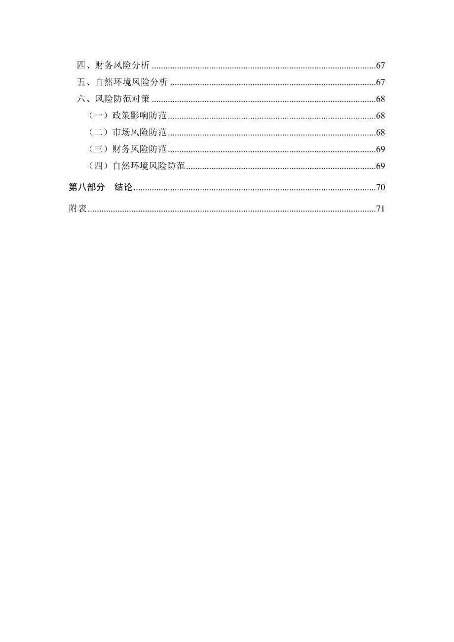 某某广场项目可行性研究报告修正版_第5页