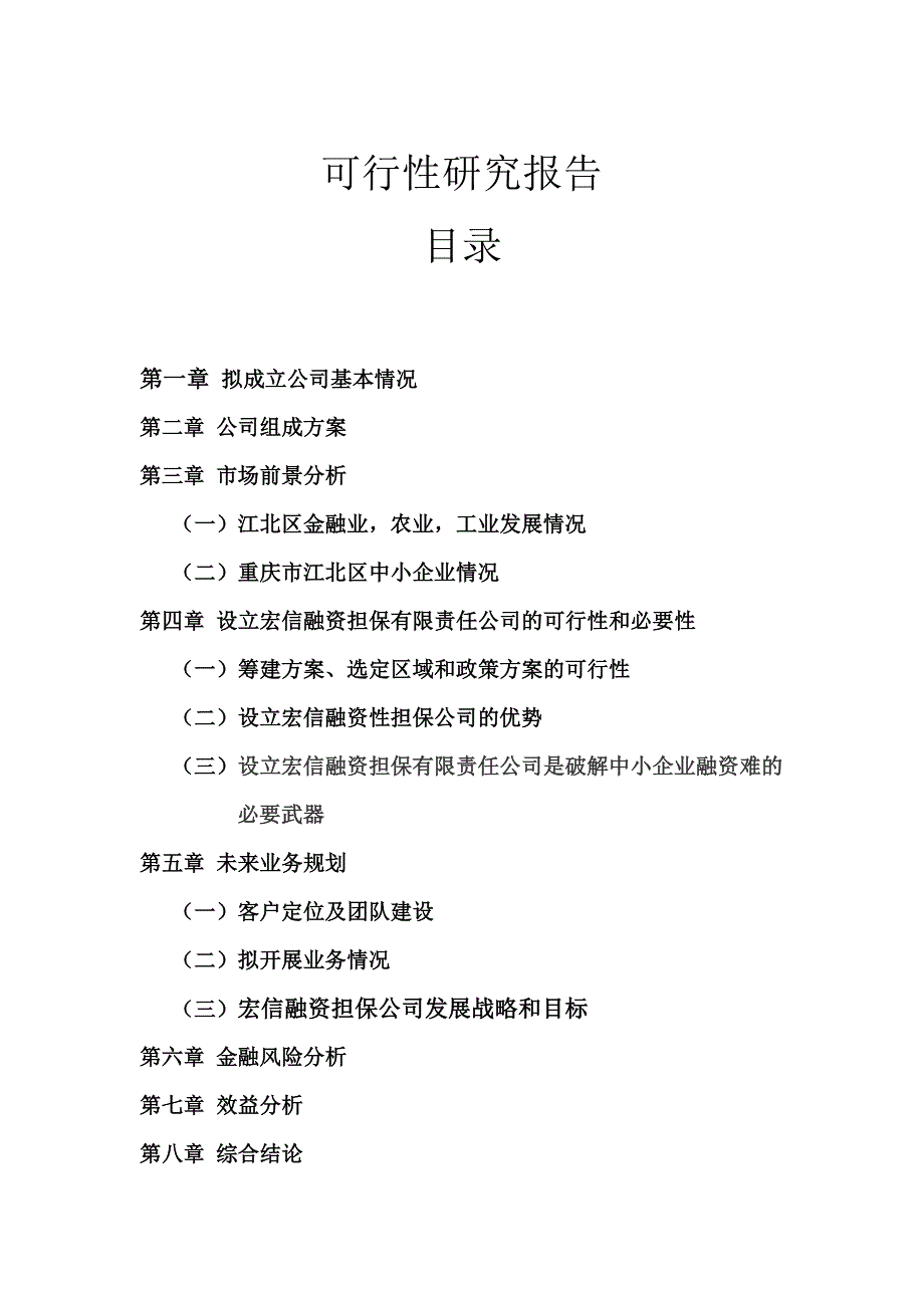 宏信融资担保有限责任公司可行性研究报告.doc_第2页