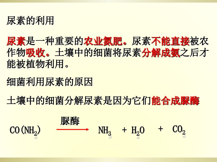 22土壤中分解尿素的细菌的分离与计数_1_第4页