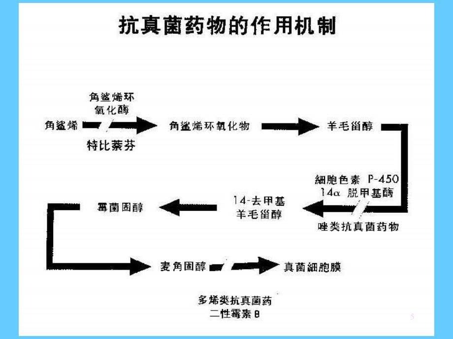 【医药健康】抗深部真菌药新进展_第5页