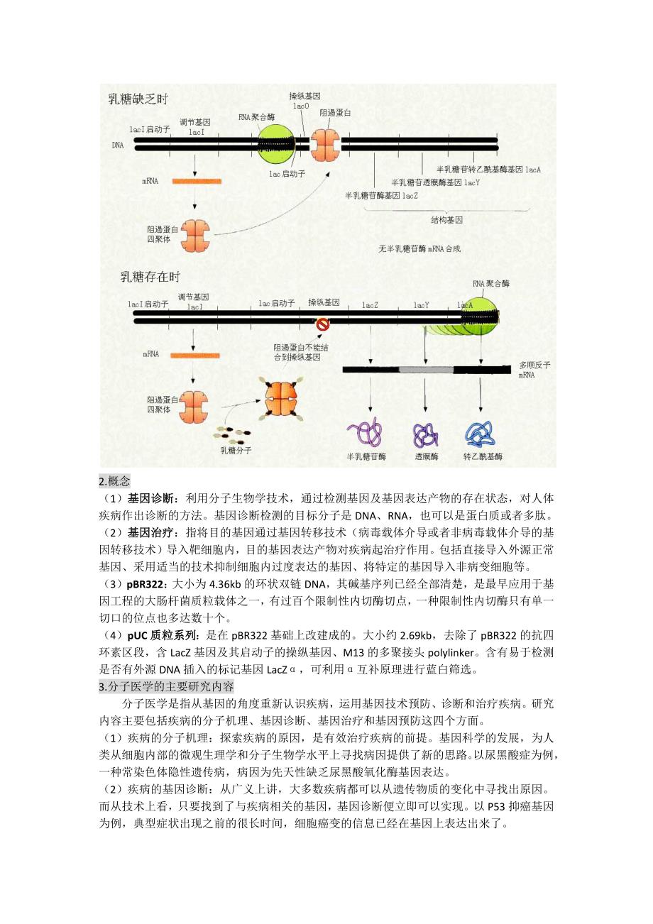 生物化学与分子生物学进展(基础)期末考试总结_第2页