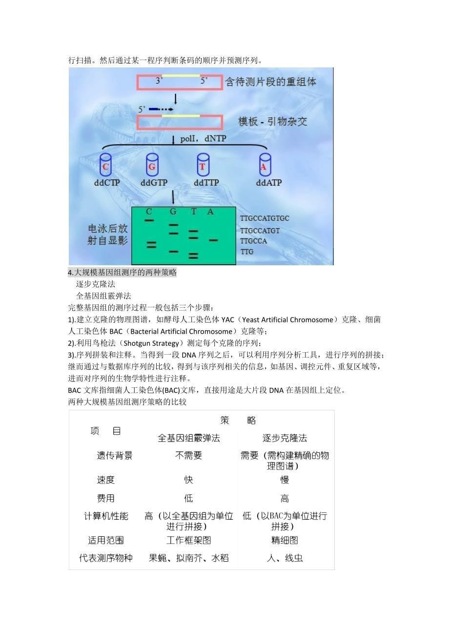 生物化学与分子生物学进展(基础)期末考试总结_第5页