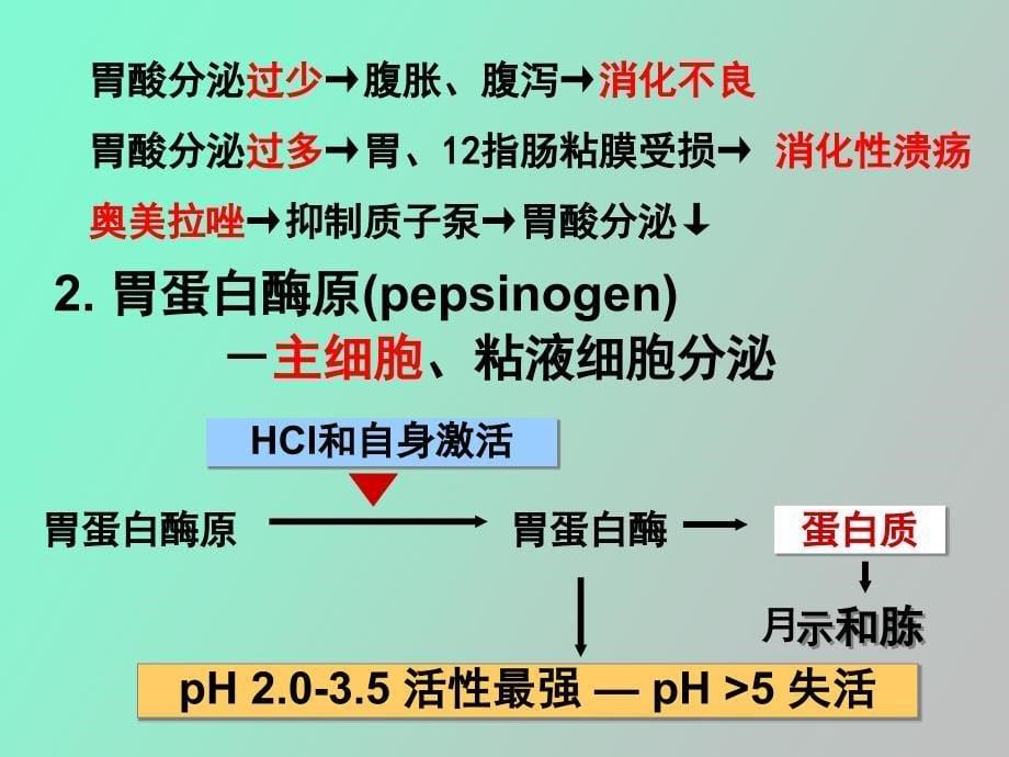 级药学本科消化_第5页