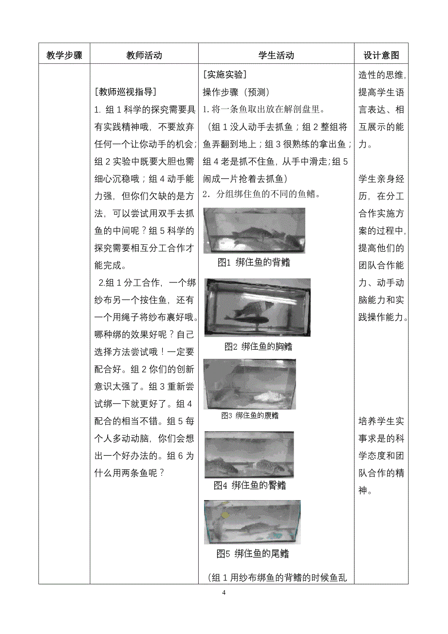 s44探究鱼类适应水中生活的特征.doc_第4页