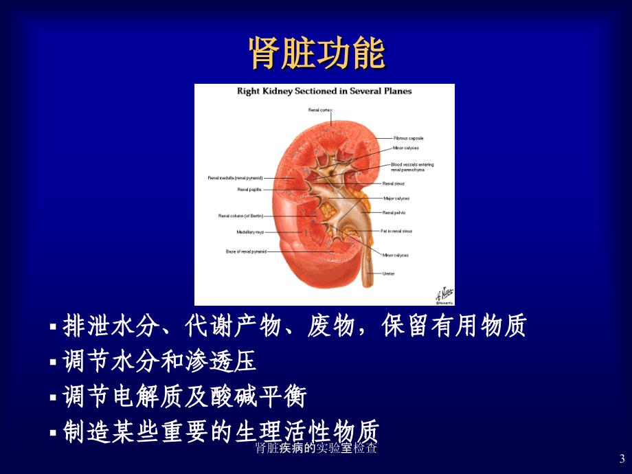 肾脏疾病的实验室检查课件_第3页