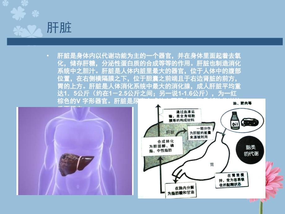 专家讲解慢性病之肝病肝硬化医院_第3页