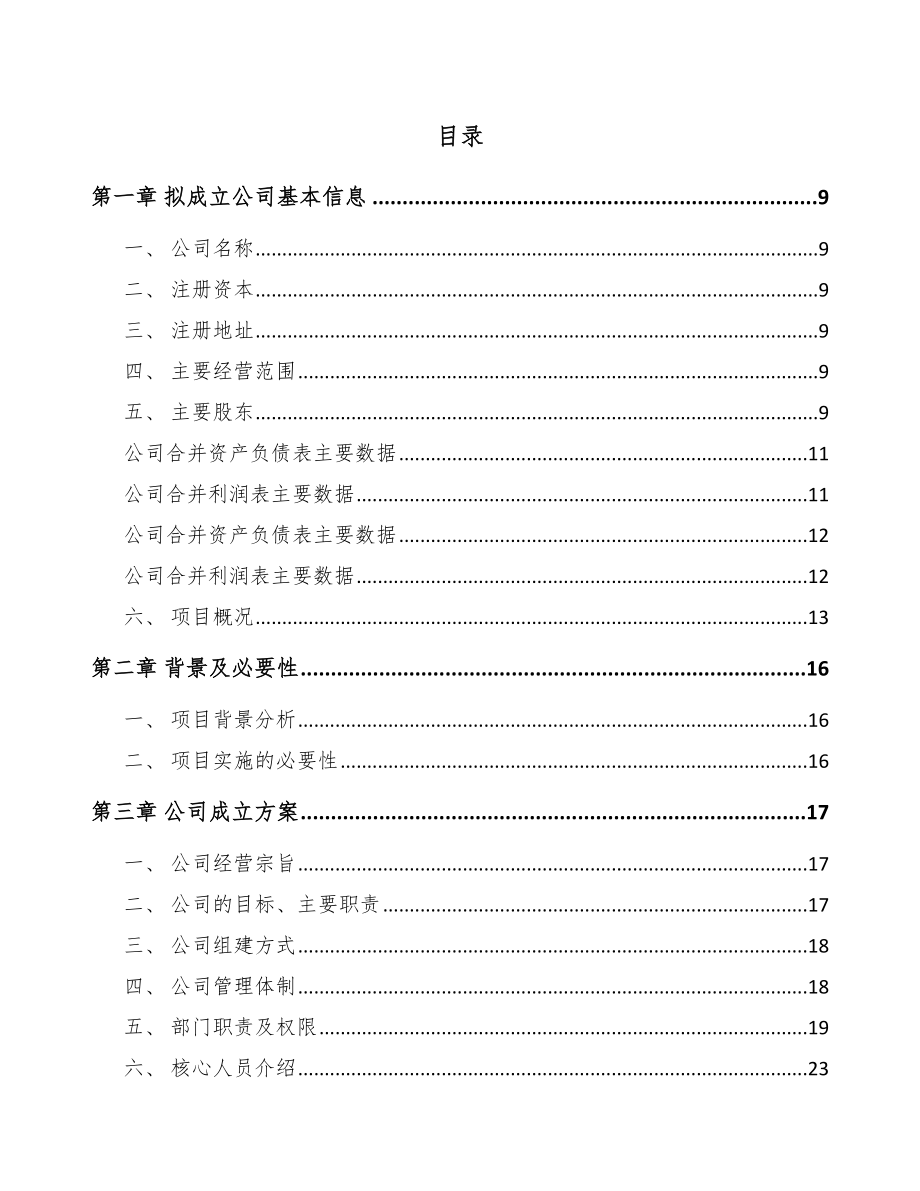 北京关于成立活塞公司可行性研究报告范文模板_第2页