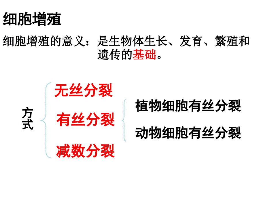 细胞增殖有丝分裂_第4页