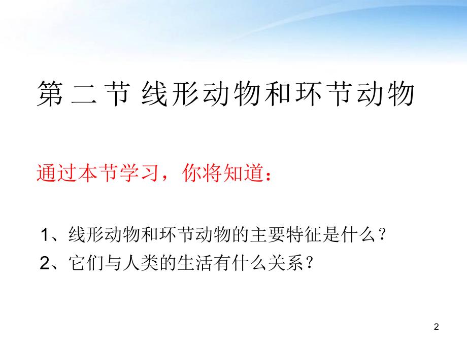 线形动物和环节动物ppt课件_第2页