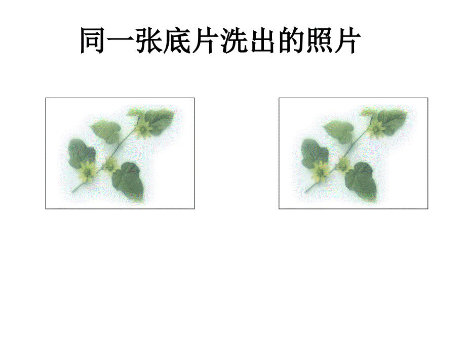 全等三角形优质教案_第4页