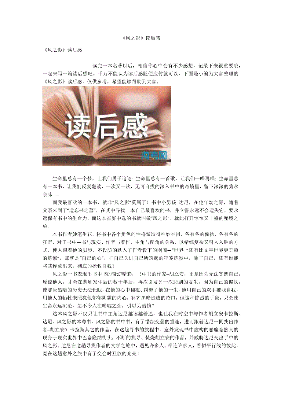 《风之影》读后感_第1页