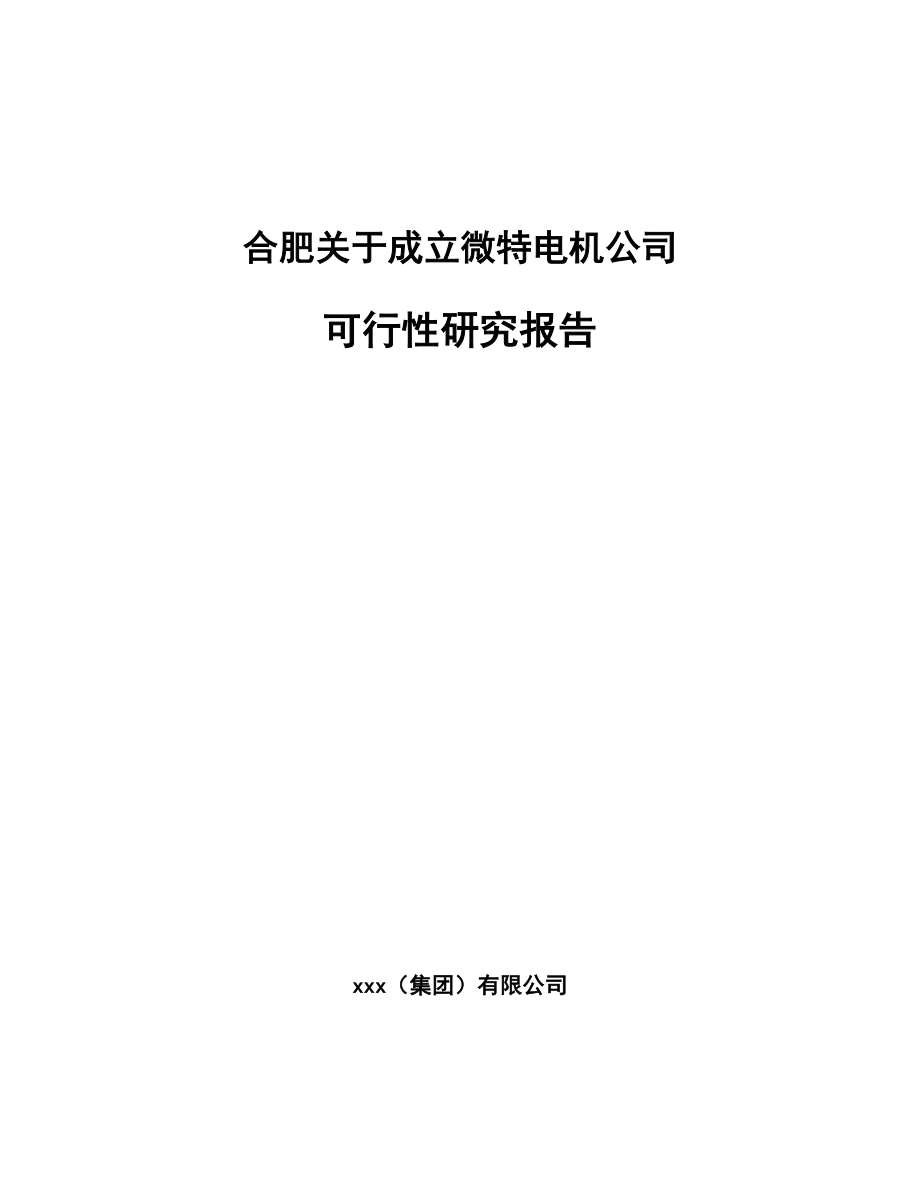 合肥关于成立微特电机公司可行性研究报告_第1页