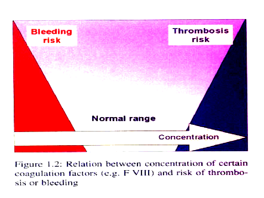 血栓与血栓性疾病_第2页