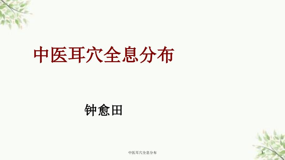 中医耳穴全息分布课件_第1页