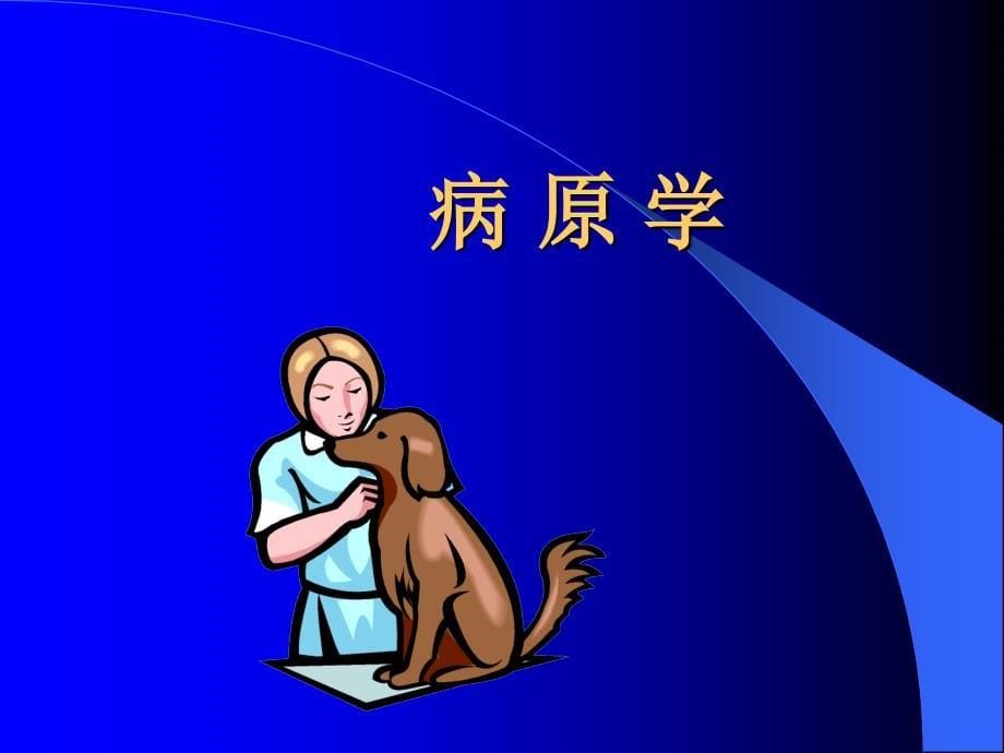 颍上县狂犬病培训PPT课件_第5页