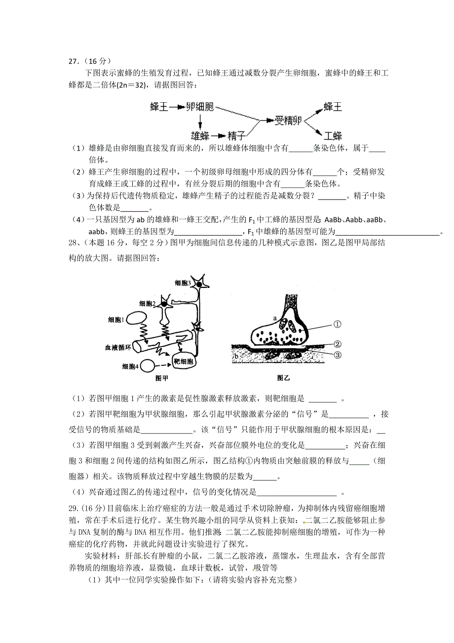 2013届四会中学高三生物周测16.doc_第3页