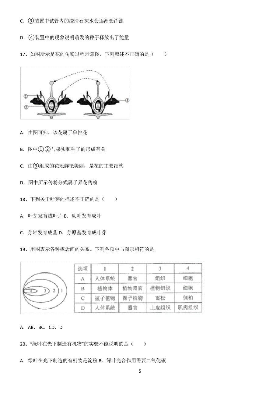 (文末附答案)人教版2022年初中生物生物圈中的绿色植物真题_第5页