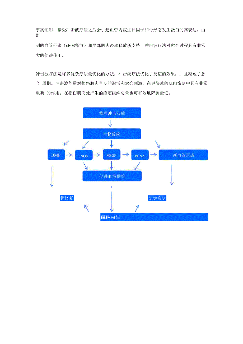 冲击波疗法于运动医学处方详述_第4页