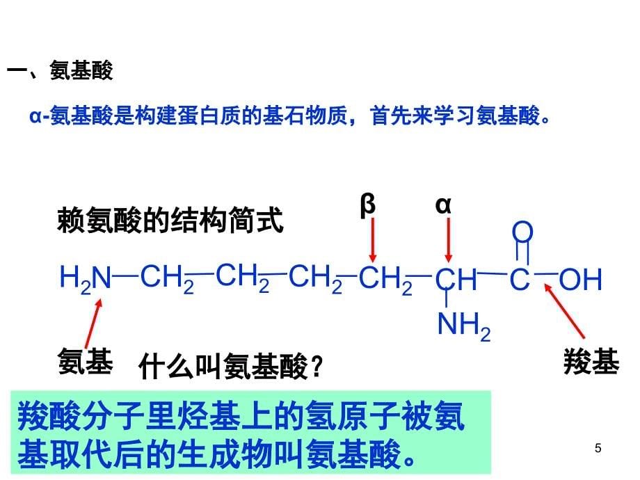 人教版选修5蛋白质和核酸完整版课堂PPT_第5页