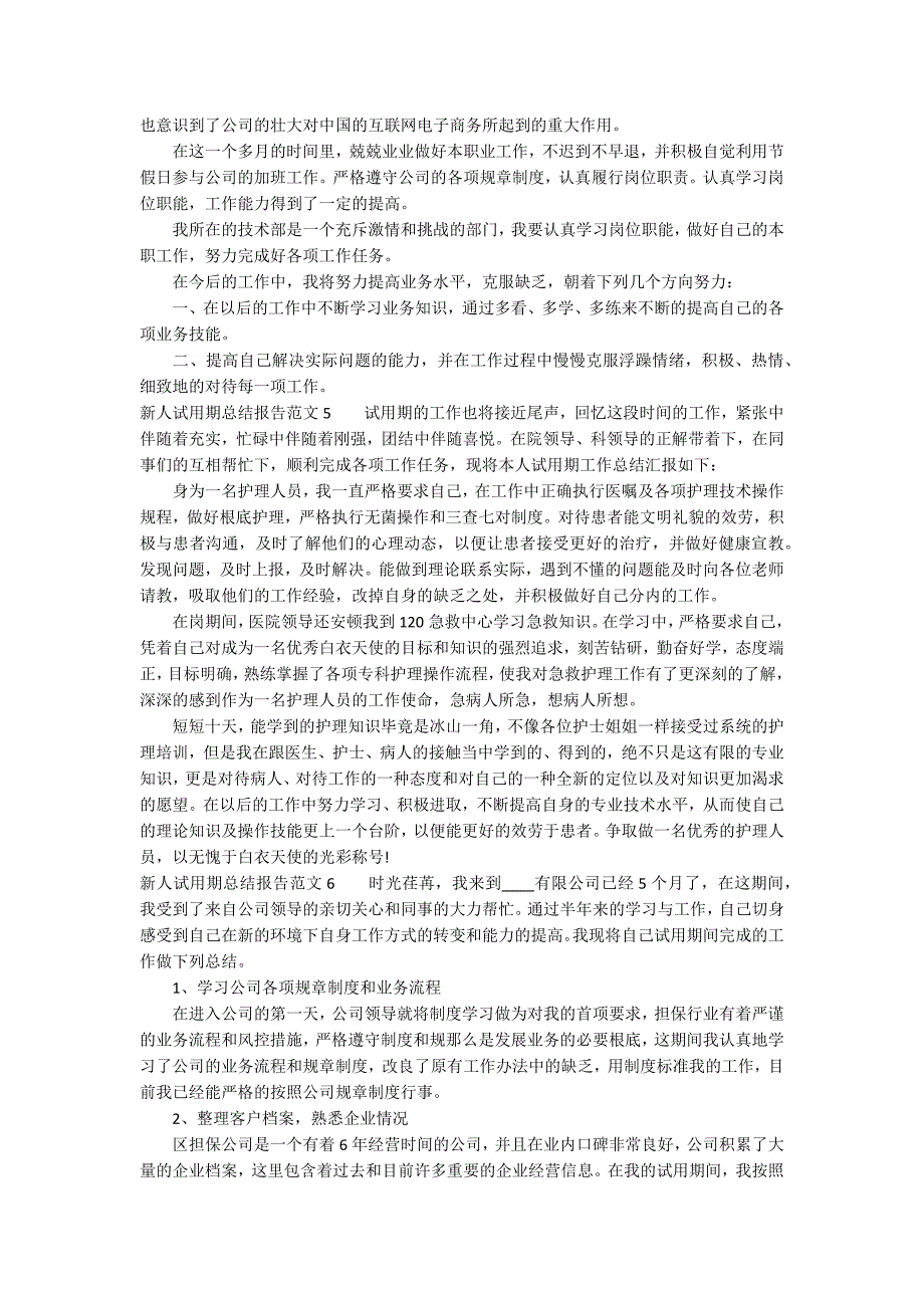 新人试用期总结报告范文7篇_第5页