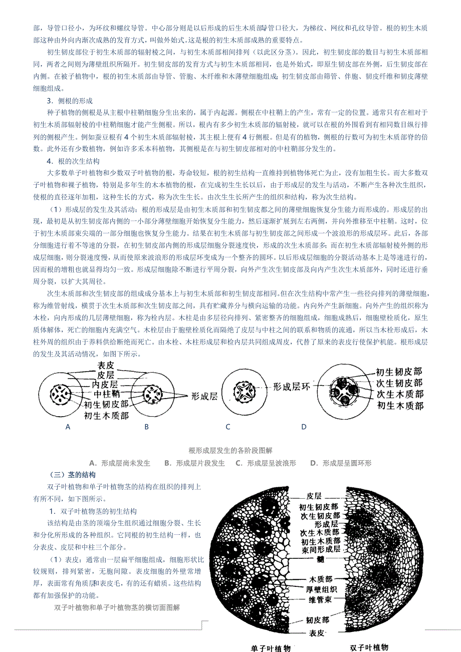 高中生物竞赛辅导第一章：植物形态解剖.doc_第4页